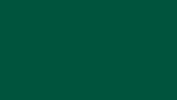 (RAL 6005) зеленый мох